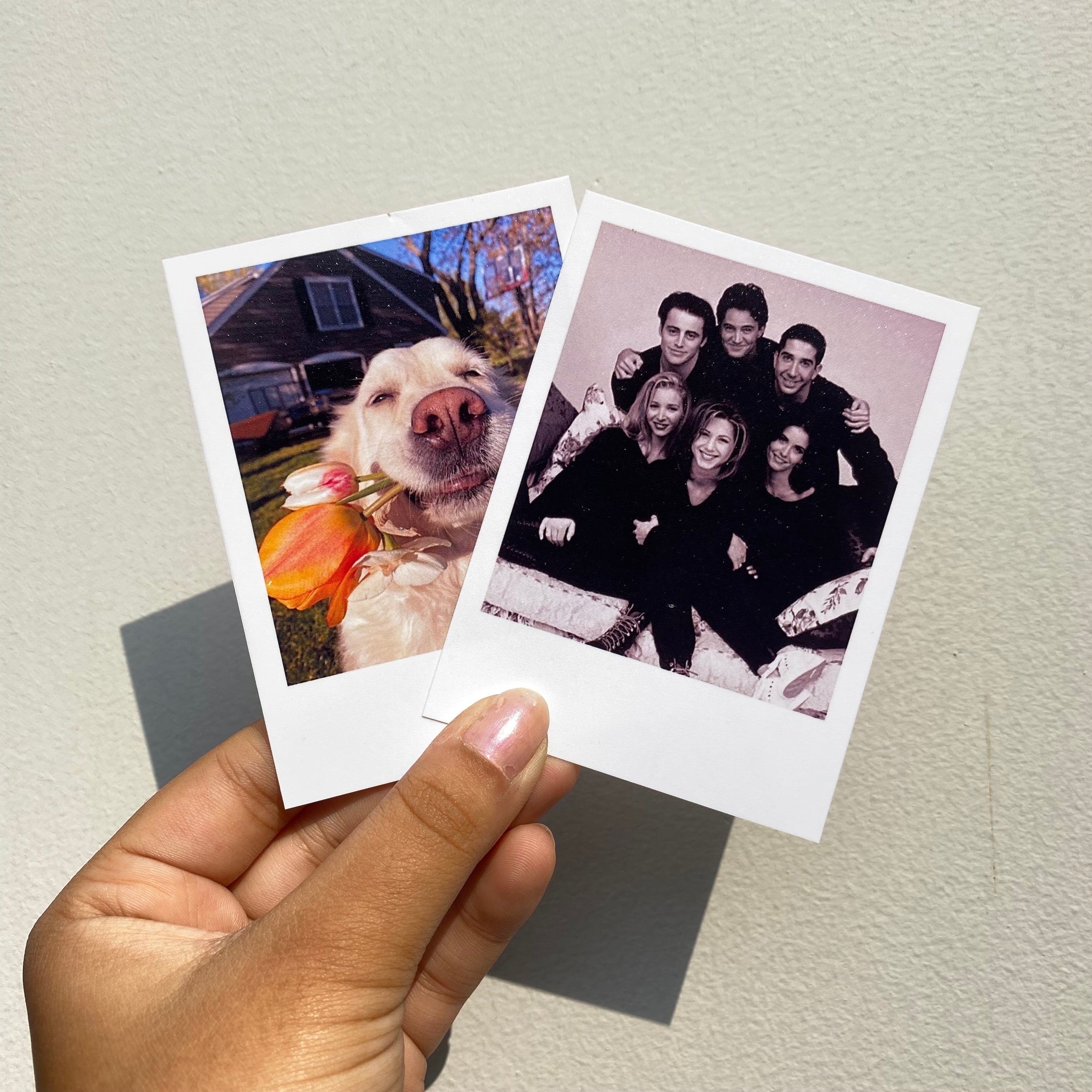 100% Waterproof large polaroid